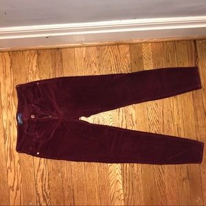 Velvet Wine Pants